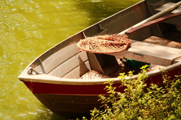 Abandoned boat in the reed field on the pond