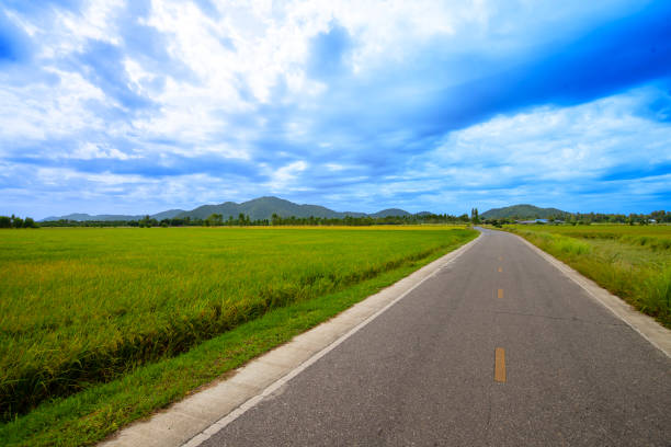 A rural landscape in Thailand shows a road through green rice fields and mountains in the distance against a blue sky with cloud.