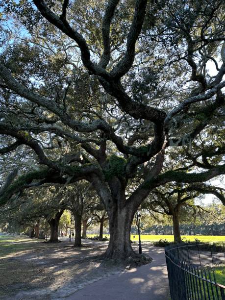 istock Forsyth Park, Savannah, Georgia 2192450346
