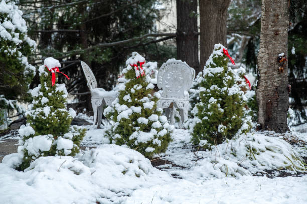Christmas decoration in yard, Pennsylvania, USA