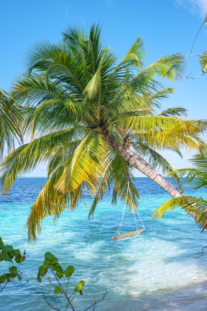 istock Swing hanging from coconut palm tree on tropical beach by the turquoise sea 2192453585