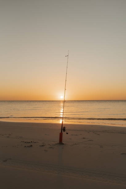 Single Fishing Rod set up on a beach at sunset