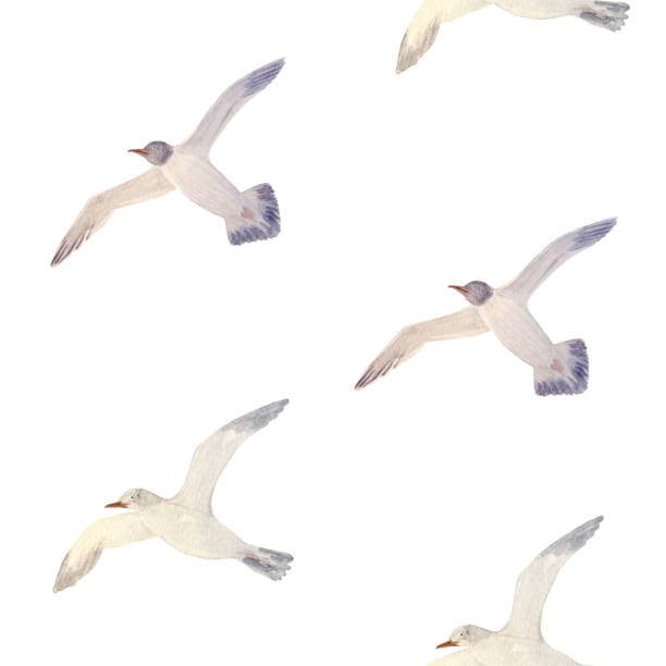 istock Flying sea gull seamless pattern isolated on white. High quality hand-drawn watercolor flat illustration for notebooks, scrapbooking, wrapping paper, textile, sea voyage souvenirs decor and design 2192458057