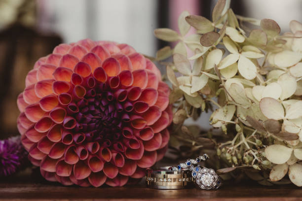 Close up of dahlia with wedding rings