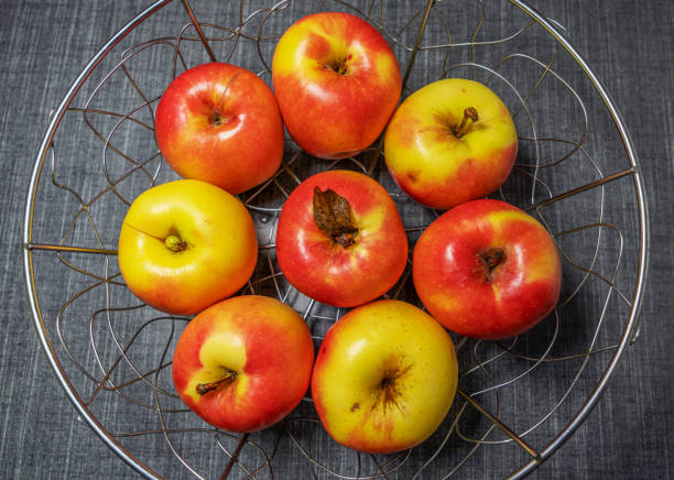 There are beautiful fresh red and yellow apples in a metal vase on a gray table, top view.