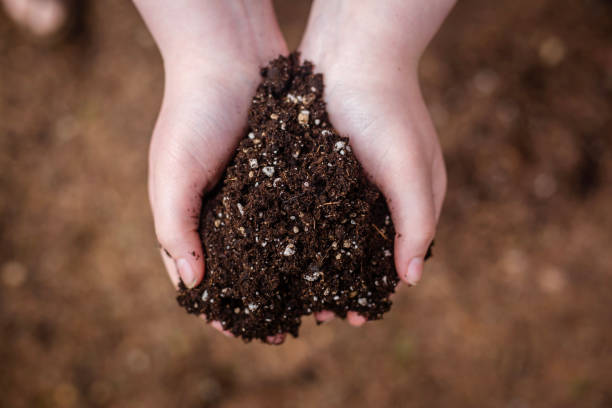 istock Hands grabbing Garden Soil Dirt Outdoors in the Spring 2192460519