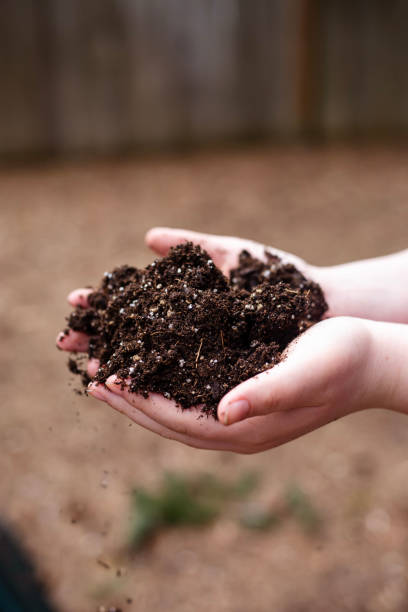 istock Hands grabbing Garden Soil Dirt Outdoors in the Spring 2192460530