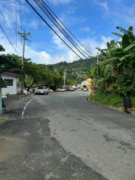 istock Winding Road in the Caribbean 2192462437