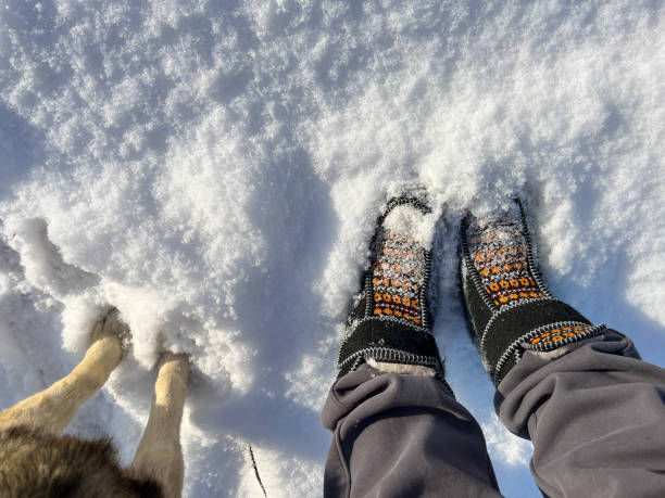 istock dog with a person in winter 2192466354