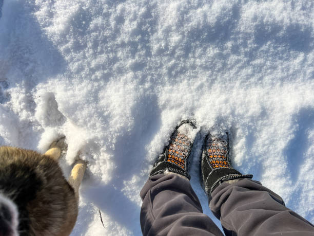 istock dog with a person in winter 2192466358