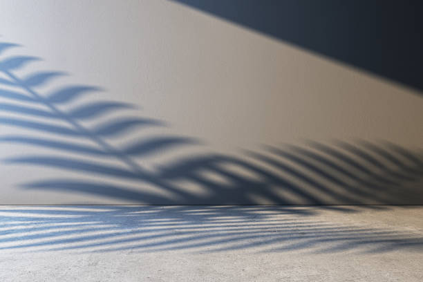 istock Abstract view of a modern concrete room interior with palm leaf shadows on a clean wall and floor. 3D Rendering 2192466468