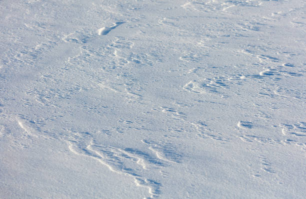 istock The snow is white and the ground is covered in it 2192467869