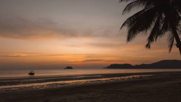 Serene Sunset on a Tropical Beach:  A picturesque silhouette of a palm tree frames a breathtaking sunset over a tranquil beach. The golden hues of the sky reflect on the calm waters.