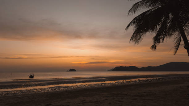 istock Serene Sunset on a Tropical Beach:  A picturesque silhouette of a palm tree frames a breathtaking sunset over a tranquil beach. The golden hues of the sky reflect on the calm waters. 2192469249