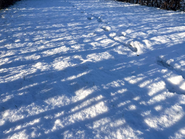 istock Snow covered ground with footprints. Sunny day in winter 2192476513