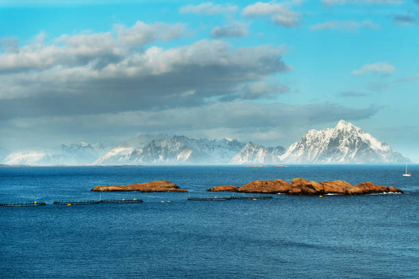 istock Serene Coastal Landscape with Snow-Capped Mountains 2192477517
