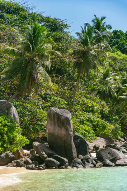istock Beautiful Beach Scenery At Anse Royale 2192477951
