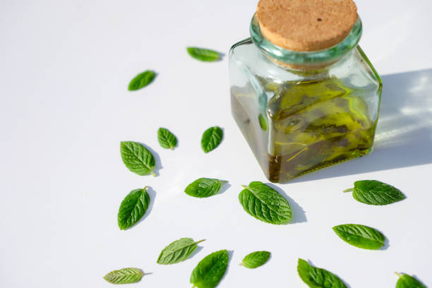 istock Glass bottle, cork stopper. Mint leaves. 2192482063
