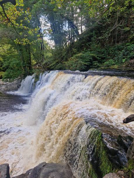 istock Four waterfall walk in national park Brecon beacons Wales 2192482280