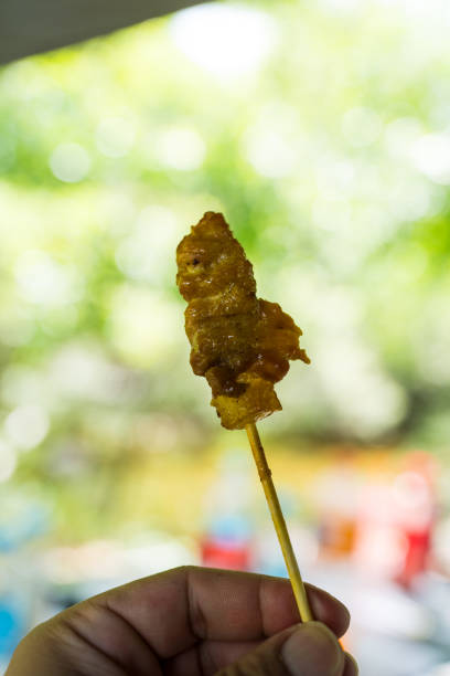 Hand holding a Thai grilled chicken skewer against nature background, popular street food breakfast in Thailand