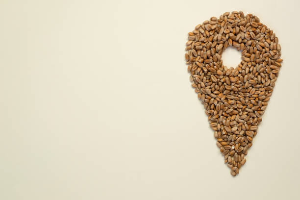 The location bubble or pin icon is made from wheat grains. Grain transshipment hub. Transportation delivery, map location, transport logistics. Beige color background. Copy space.