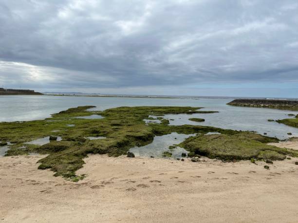 istock The view of Sunabe beach 2192485461