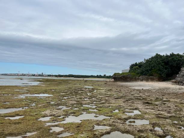 istock The view of Sunabe beach 2192485860