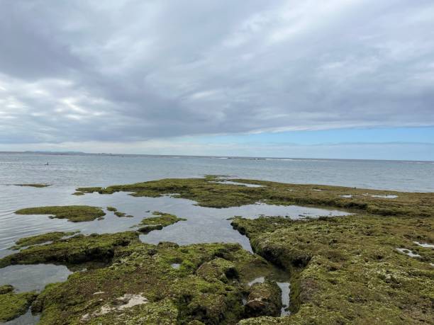 istock The view of Sunabe beach 2192485930