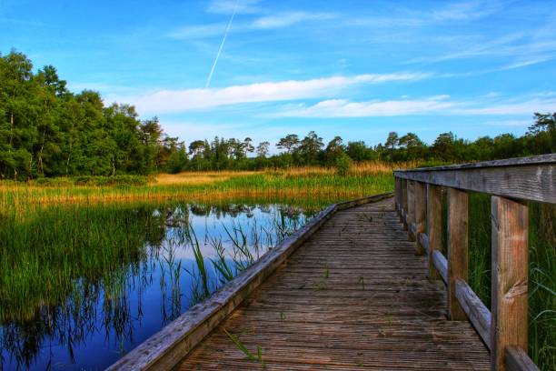 istock Hiking trail over water 2192486851