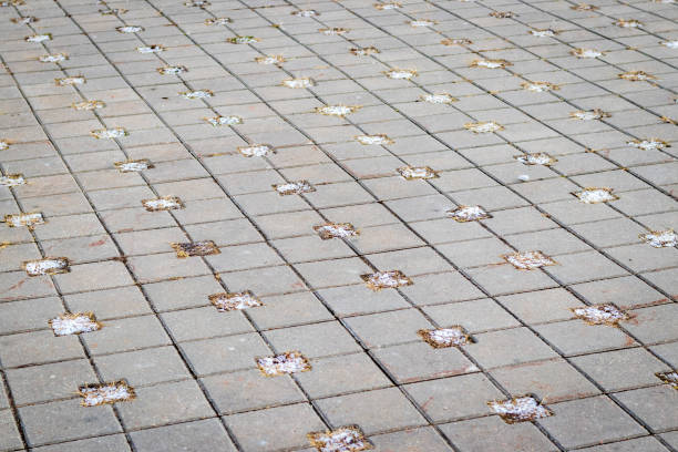 istock Close up shot of inter lock brick, frost and soil between them. Texture 2192488838