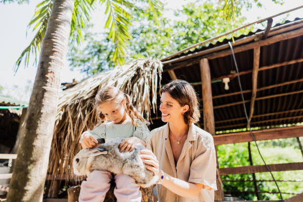 Mother and daughter petting a rabbit in a zoo