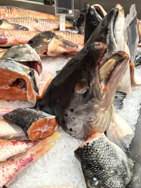 Fresh fish display at a market showcasing various species and textures