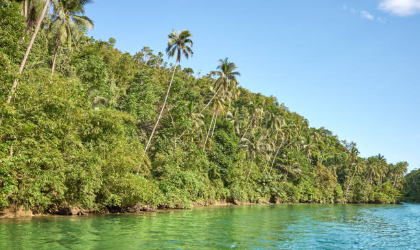 istock View of the Loboc river. 2192490566