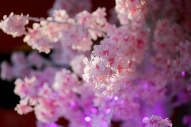 Retail display on decorative flowers for Chinese New Year celebration