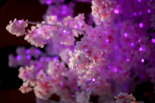 Retail display on decorative flowers for Chinese New Year celebration