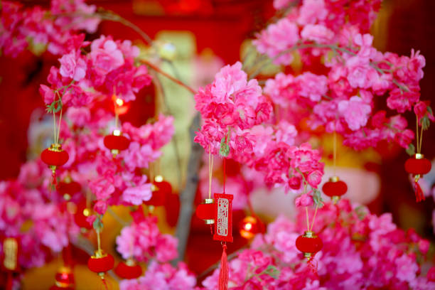 abutilon, background, bell, blossom, botanical, botany, chinese, closeup, color, colorful, flower, foliage, fresh, garden, green, lantern, leaf, malvaceae, natural, nature, outdoor, park, petal, plant, red, shrub, spring, summer, tropical, wild