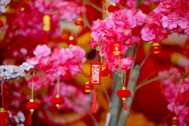 Retail display on decorative flowers for Chinese New Year celebration