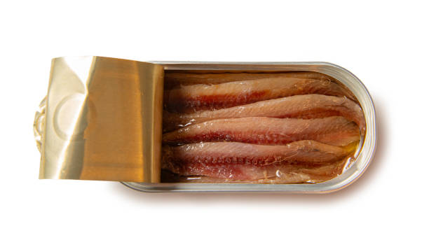 istock Canned anchovies 2192493934