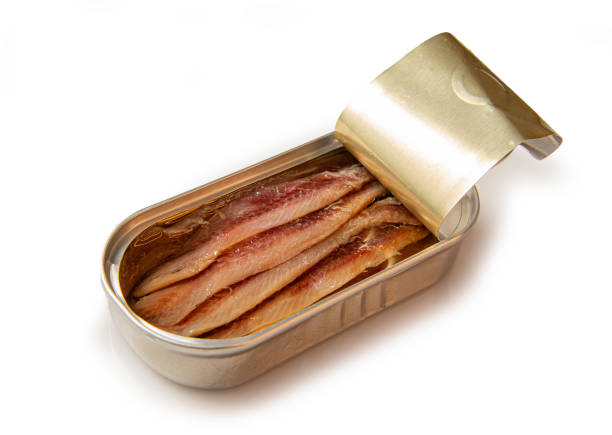 istock Canned anchovies 2192493940