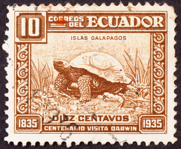 istock Postage stamp showing a giant turtle of Galapagos islands 2192494472