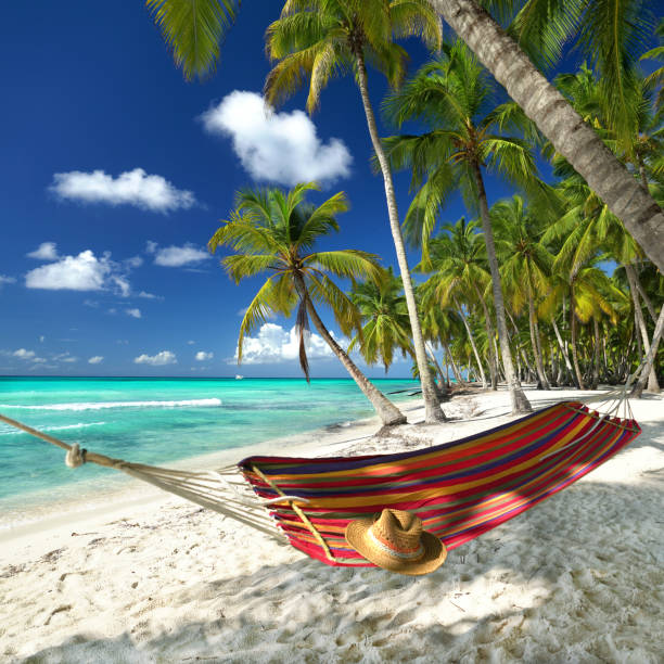 istock Caribbean beach with hammock at palm trees and turquoise sea 2192501124