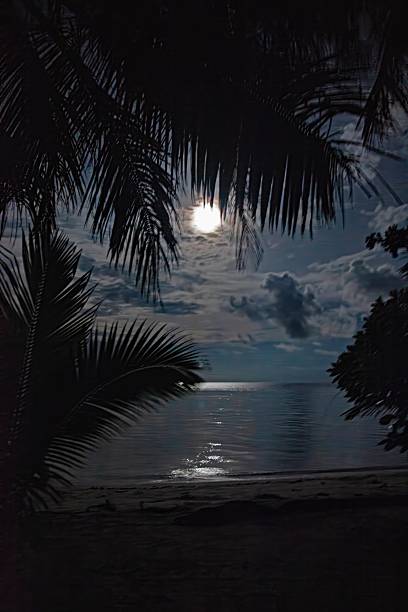 istock Full moon over a tropical beach framed by palm trees 2192502389