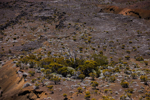 Volcanic Terrain Reunion Island