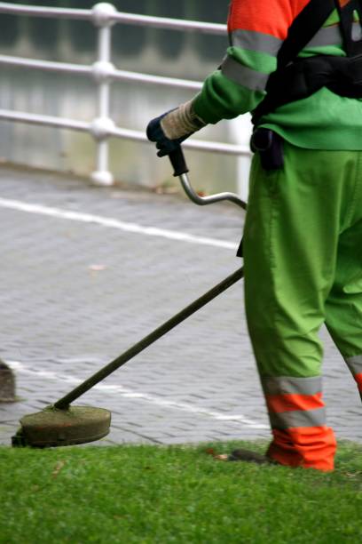 istock Gardener cutting the grass in the city 2192508452