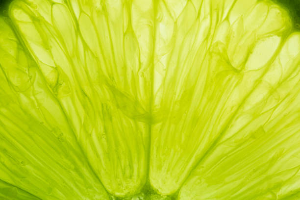 istock Close-up macro of lemon texture,macro lemon texture,Macro close up surface texture Juicy slice of lime 2192511331