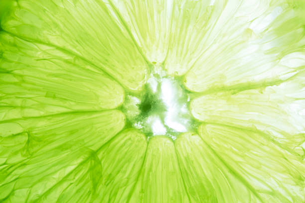 istock Close-up macro of lemon texture,macro lemon texture,Macro close up surface texture Juicy slice of lime 2192511345