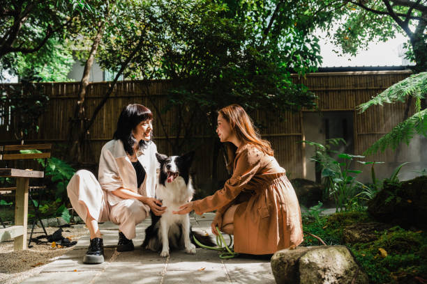 istock Lesbian Couple Bonding Outdoors with a Border Collie in a Lush Garden Setting 2192511468