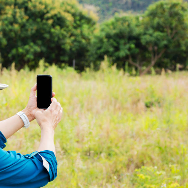 Hands with mobile photographing landscape in Chiang Rai province