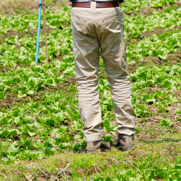 istock Man walking in field in Chiang Mai province 2192511684