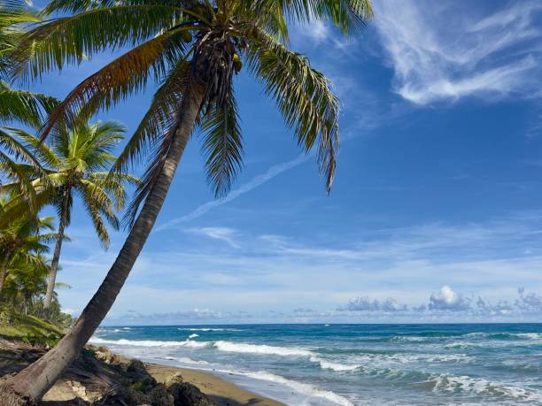 istock Cabarete Beach, Dominican Republic 2192513286